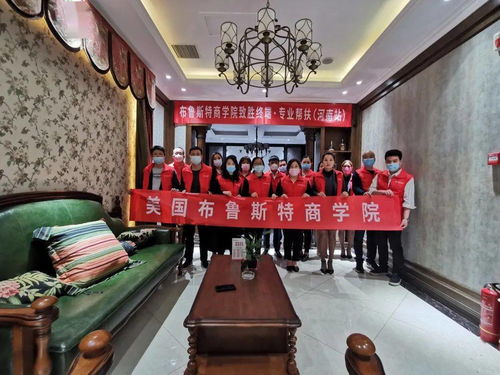 布魯斯特 專業(yè)幫扶助力終端，攜手經銷商共贏工藝品未來