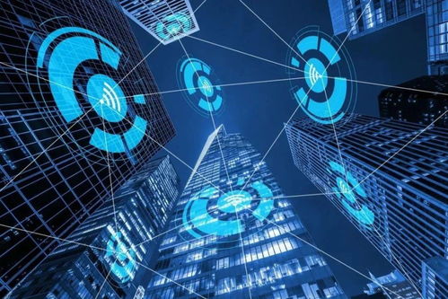 智網安云 東西湖企業守護中國西北網絡安全，引領網絡技術開發創新